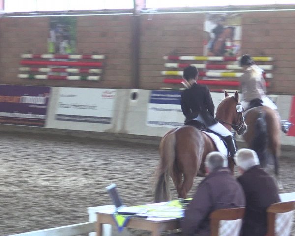 Reitturnier Ovenstädt 2015