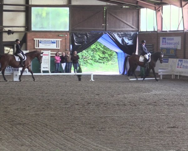 Reitturnier Ovenstädt 2015