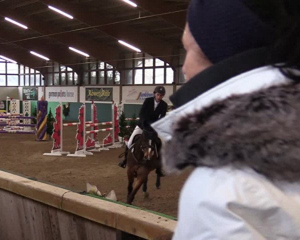 Springturnier Bielefeld-Jöllenbeck 2021