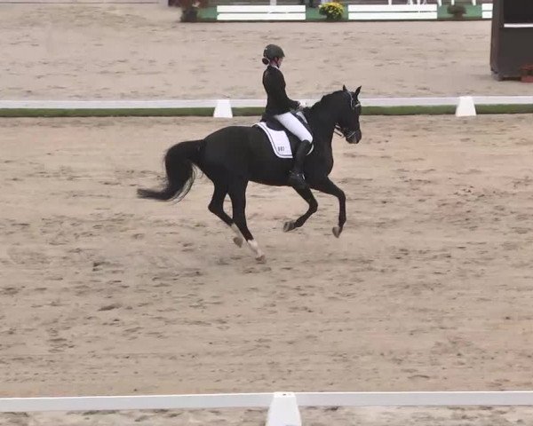 Reitturnier Linkenheim-Hochstetten 2015