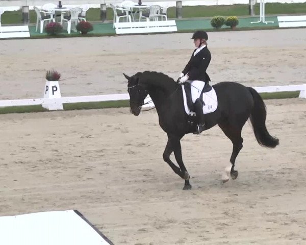 Reitturnier Linkenheim-Hochstetten 2015
