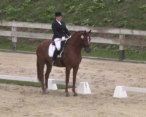 Reitturnier Linkenheim-Hochstetten 2015