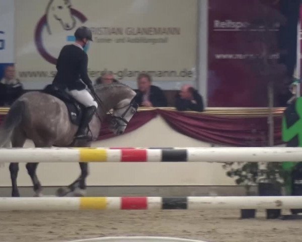 CSI Damme 2015