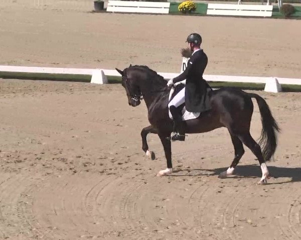 Reitturnier Linkenheim-Hochstetten 2015