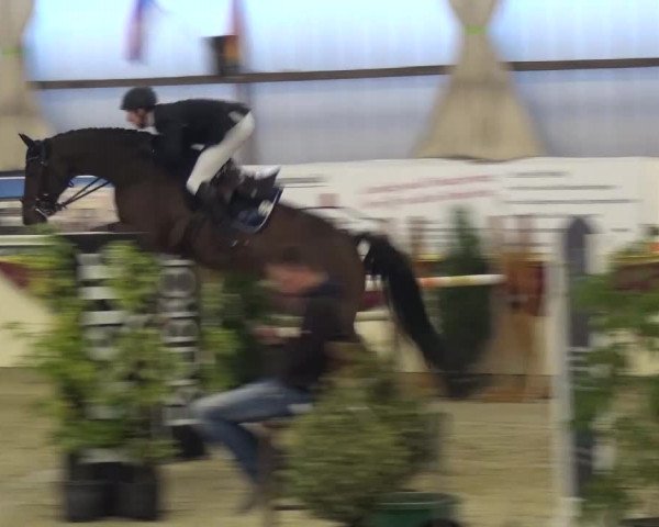 CSI Damme 2015