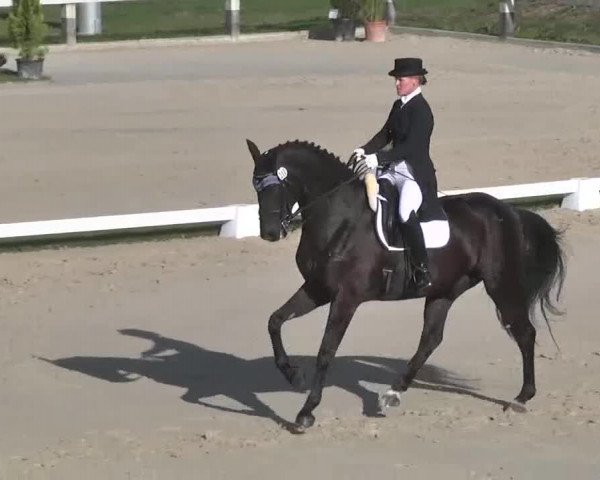 Reitturnier Linkenheim-Hochstetten 2015