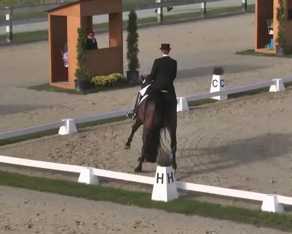 Reitturnier Linkenheim-Hochstetten 2015