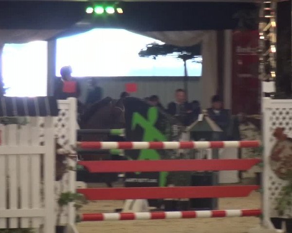 CSI Damme 2015