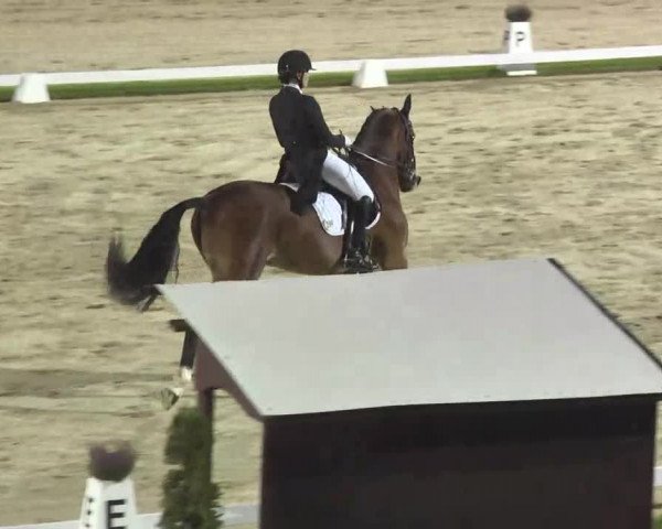 Reitturnier Linkenheim-Hochstetten 2015
