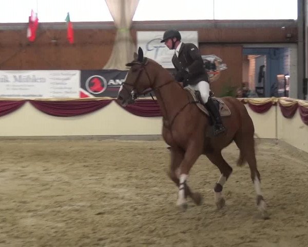 CSI Damme 2015