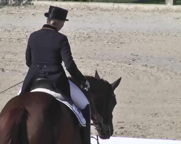 Reitturnier Linkenheim-Hochstetten 2015