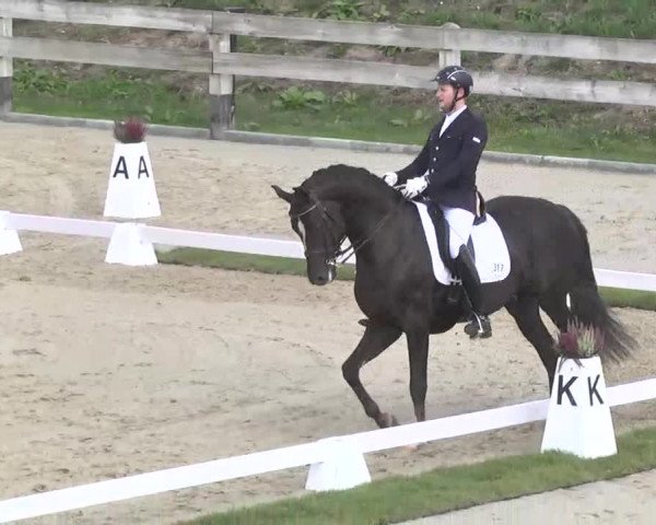 Reitturnier Linkenheim-Hochstetten 2015