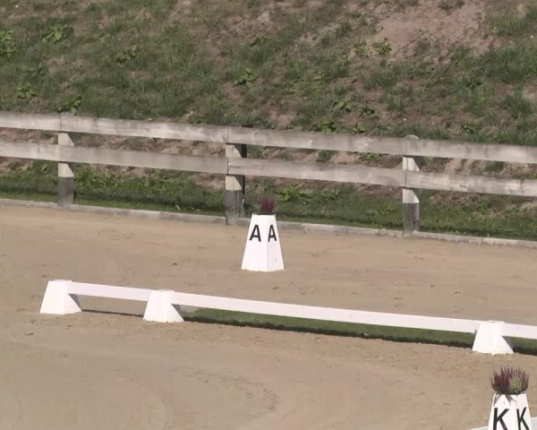 Reitturnier Linkenheim-Hochstetten 2015