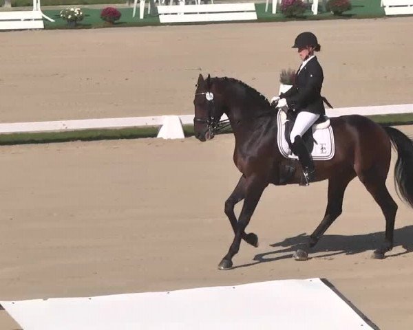 Reitturnier Linkenheim-Hochstetten 2015