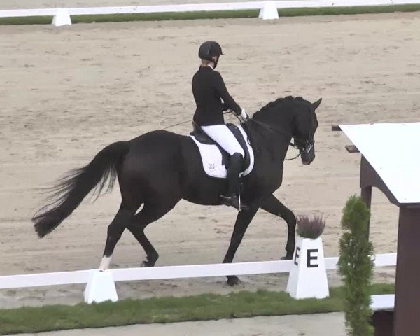 Reitturnier Linkenheim-Hochstetten 2015