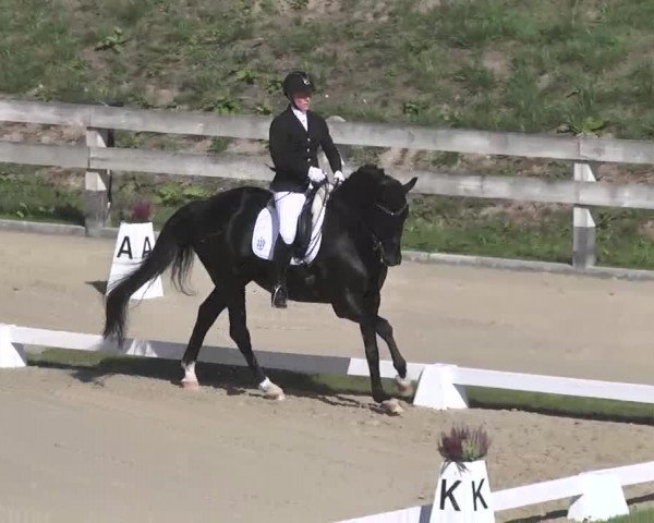 Reitturnier Linkenheim-Hochstetten 2015