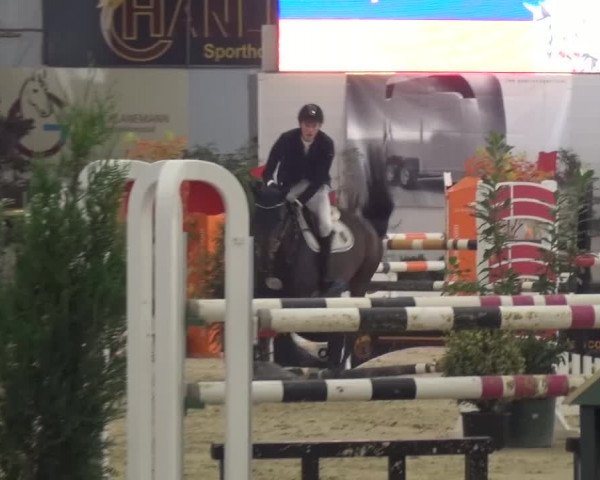 CSI Damme 2015