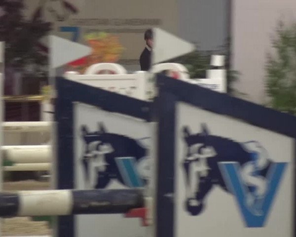 CSI Damme 2015
