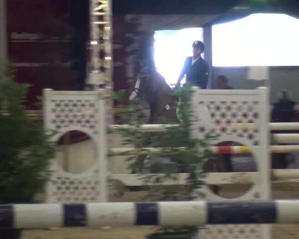CSI Damme 2015