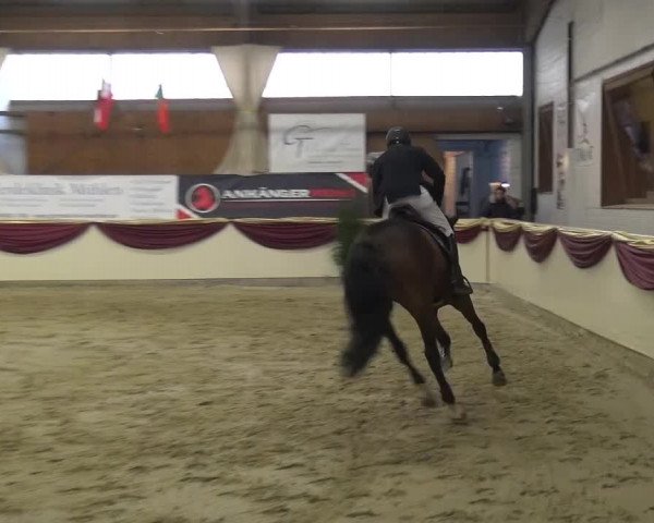 CSI Damme 2015