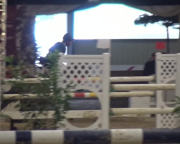 CSI Damme 2015