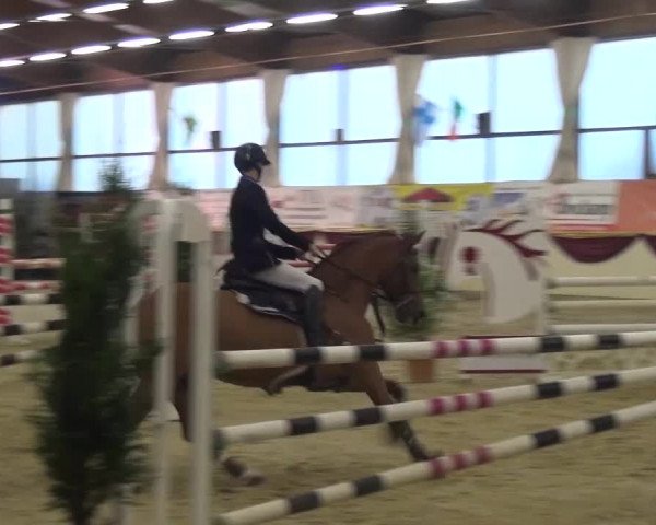 CSI Damme 2015