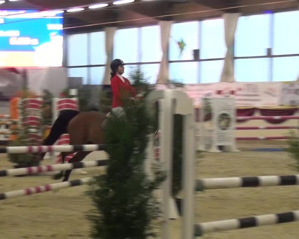 CSI Damme 2015
