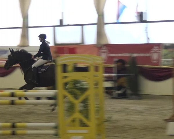 CSI Damme 2015