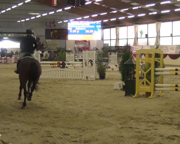 CSI Damme 2015
