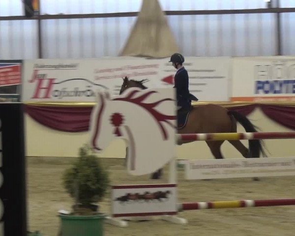 CSI Damme 2015