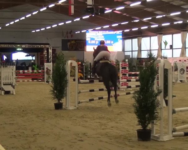 CSI Damme 2015