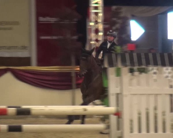 CSI Damme 2015