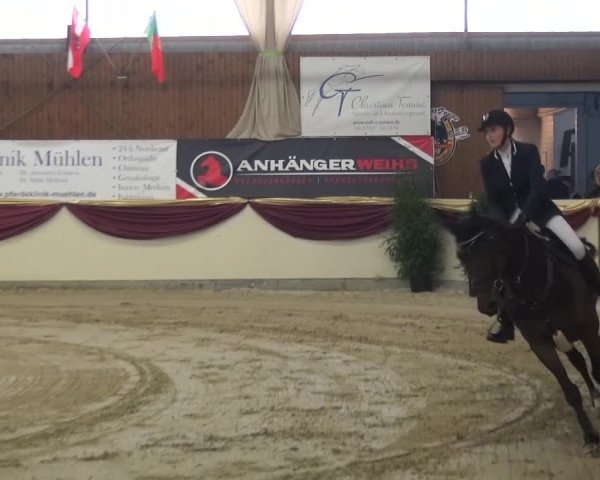 CSI Damme 2015