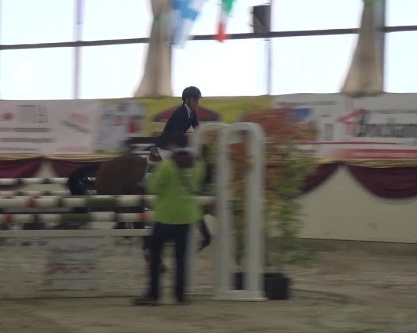 CSI Damme 2015