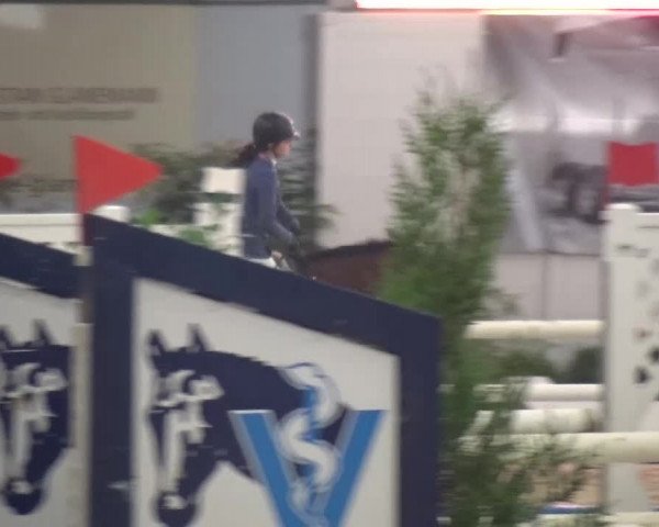 CSI Damme 2015
