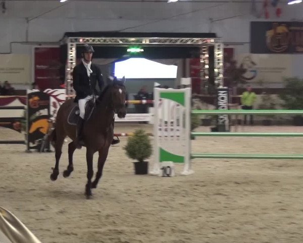 CSI Damme 2015