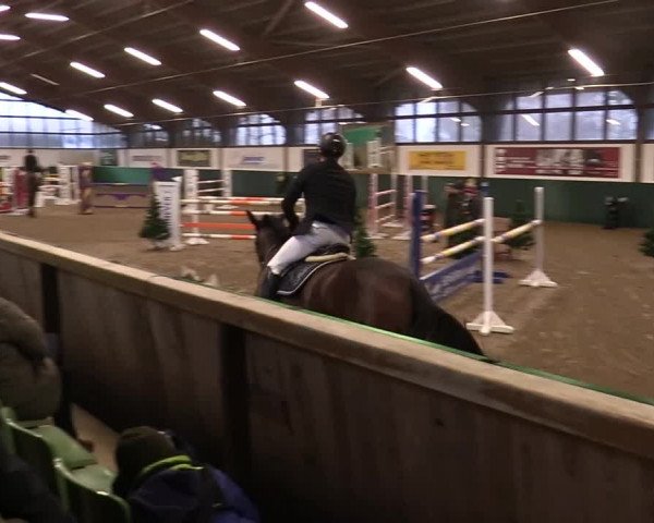Springturnier Bielefeld-Jöllenbeck 2021