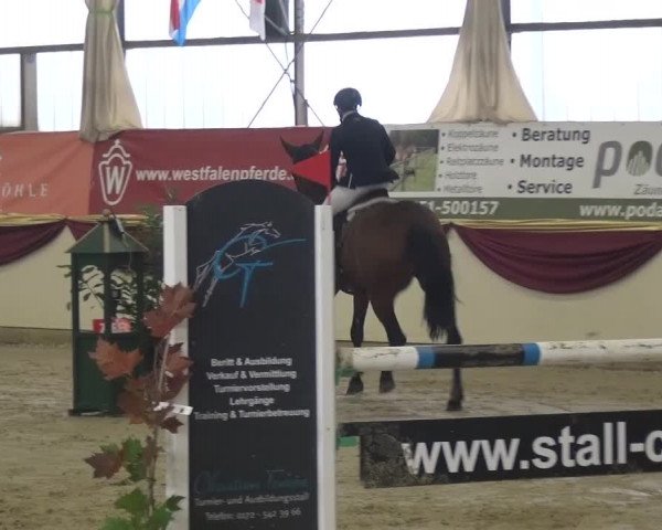 CSI Damme 2015