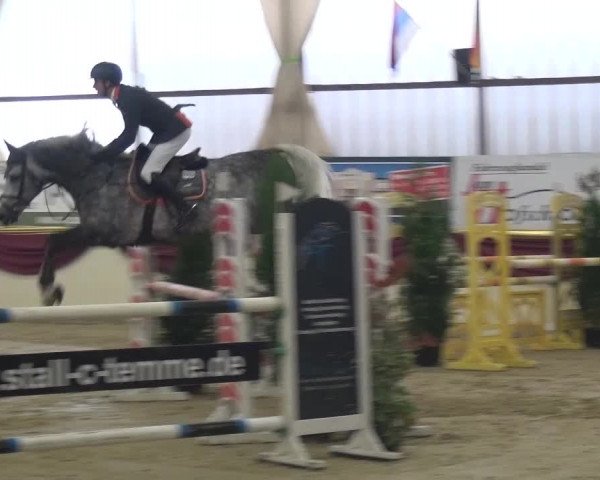 CSI Damme 2015
