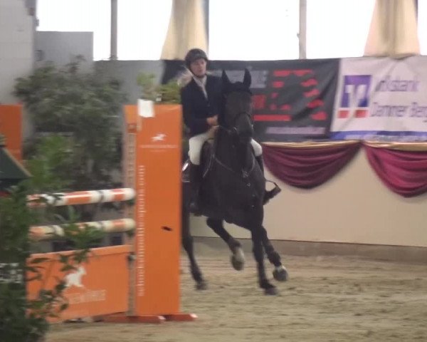 CSI Damme 2015