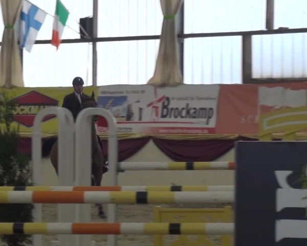 CSI Damme 2015