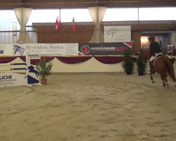 CSI Damme 2015