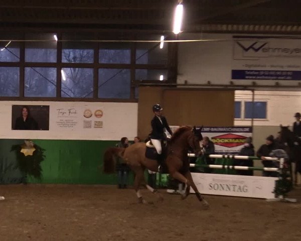 Springturnier Bielefeld-Jöllenbeck 2021