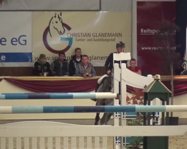 CSI Damme 2015