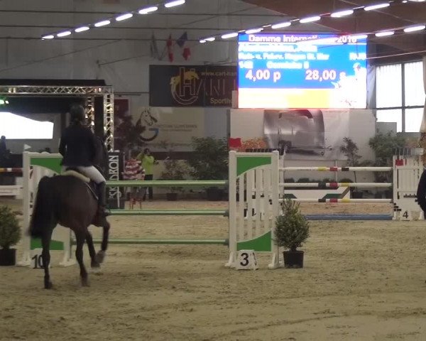 CSI Damme 2015