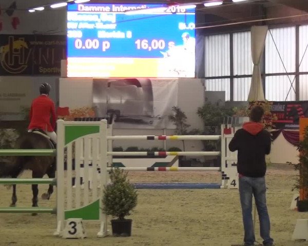 CSI Damme 2015