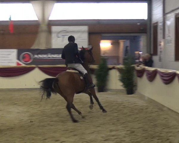 CSI Damme 2015