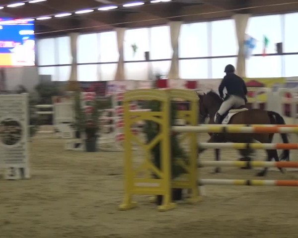 CSI Damme 2015