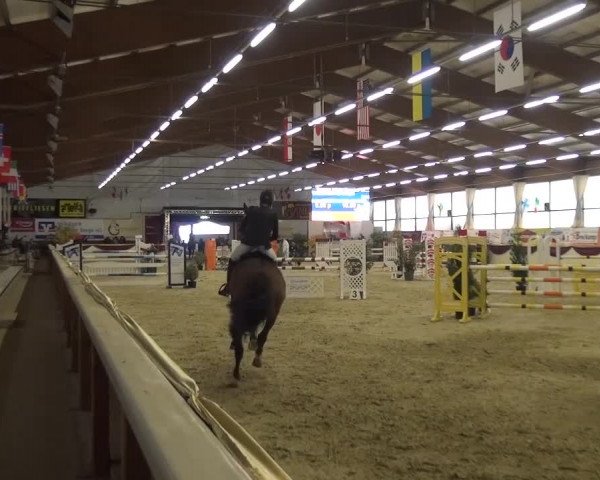CSI Damme 2015