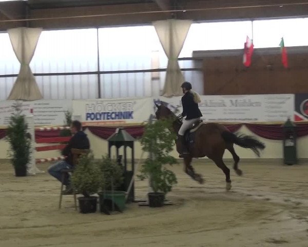 CSI Damme 2015